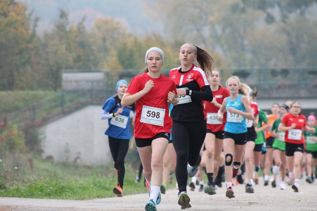 k-2024_crosscountry-land 238